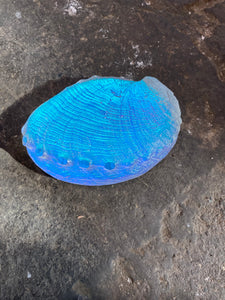 Spectral Abalone