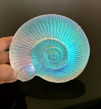 Aural Ammonite