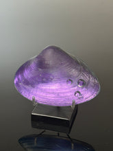 Amethyst Window Clam
