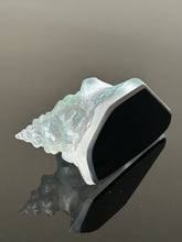 Aqua Aural Conch