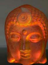 Warm Glow Ammonite Buddha