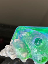 Aqua Aural Conch