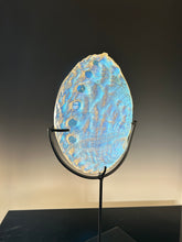 Aural Abalone (large with stand)