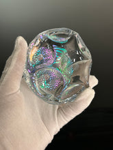 Nodule #321 “Myco Bacterium “