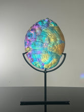 Cosmic Abalone “Large with stand”