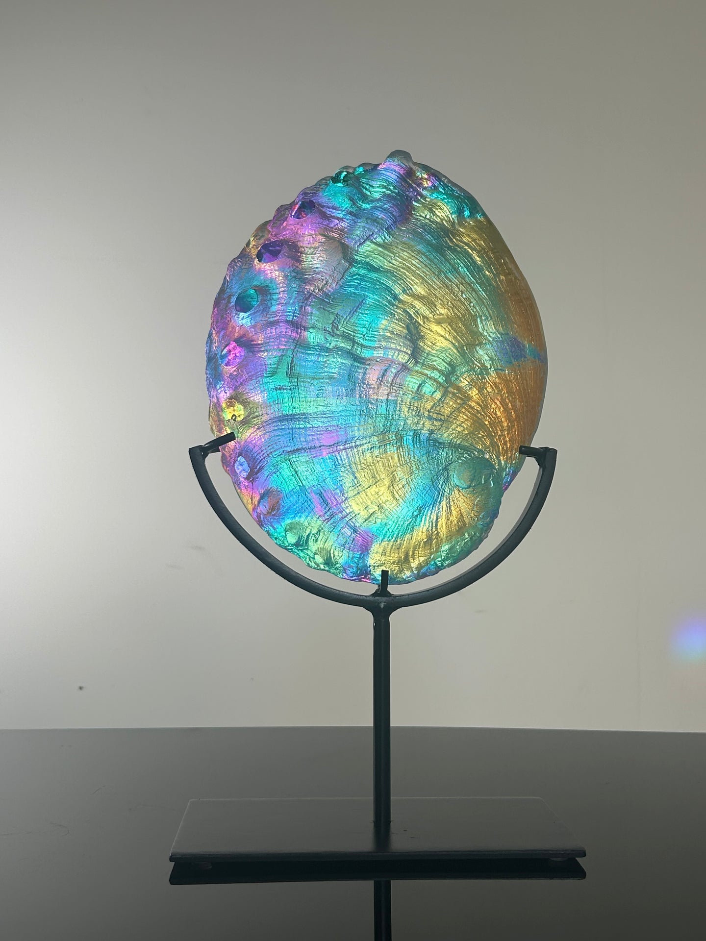 Cosmic Abalone “Large with stand”