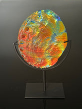 Cosmic Abalone “Large with stand”
