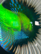 “Reincarnation” 7.5 inch orb