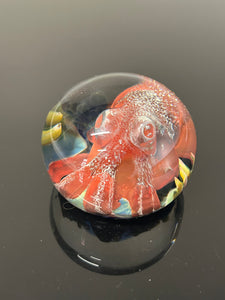 Nodule #258 “Big Red Lens “