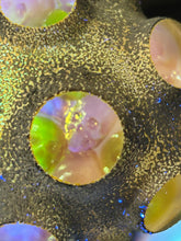Nodule #338 “The after glow”