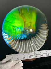 “Reincarnation” 7.5 inch orb