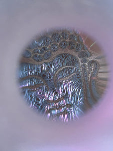 Nodule #281 “Buddha 19 ways”