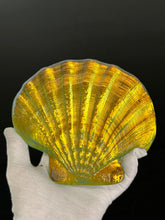Sunset Scallop