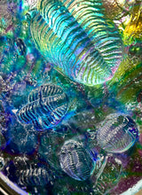 “Fossil Spectrum”