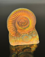 Sun Stone Ammonite