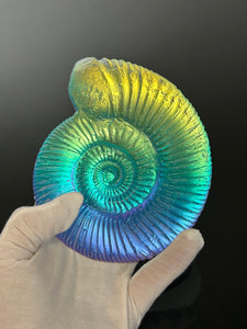 Chromatic Ammonite