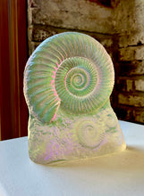 Aural Ammonite Sculpture “Medium size”