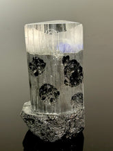 “Genetic Crystal”