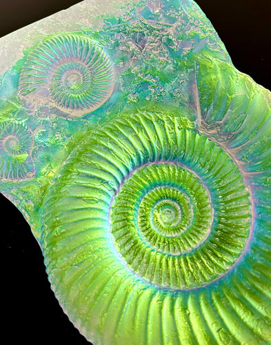 Aural Ammonite Sculpture “Medium size”