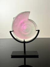 Crystalized Aural Ammonite