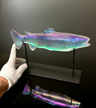 Aural Rainbow Trout