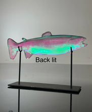 Aural Rainbow Trout