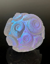 Nodule #316 “AmethystAmmonite Ball”