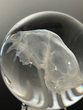 Nodule #335 “Infinite Cat Skull”