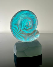 Ammonite Stone