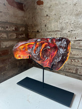 T-Rex Fossil “Lava”