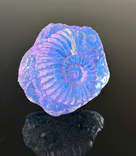 Amethyst Ammonites