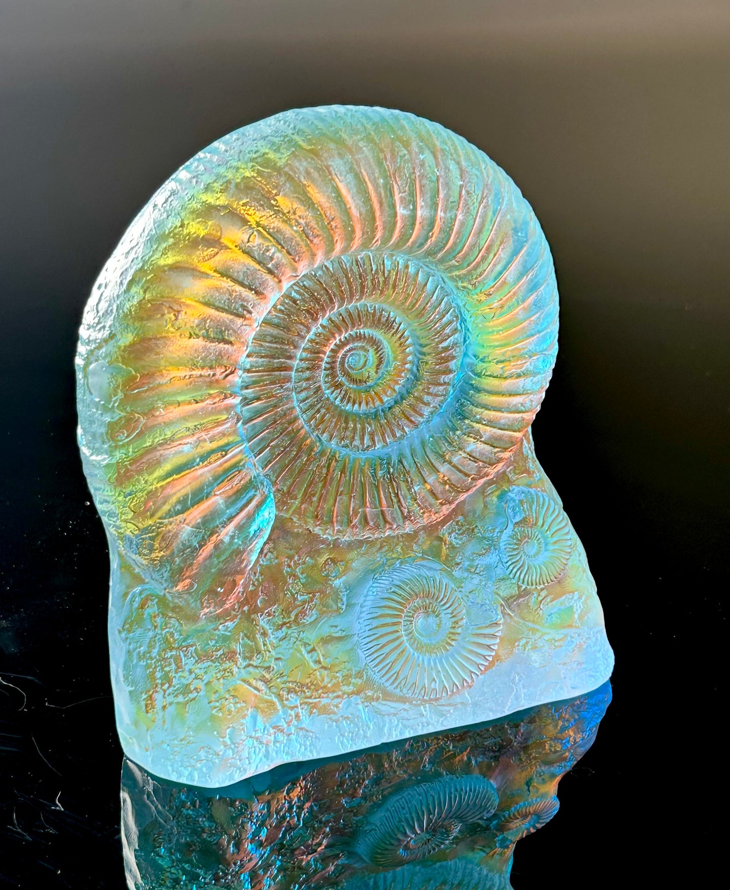 Sun Stone Ammonite