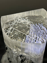 “Genetic Crystal”