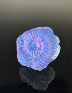 Amethyst Ammonites