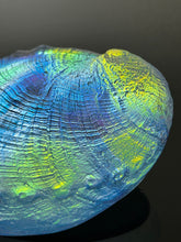 Cosmic Abalone “sale”