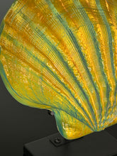 Sunset Scallop