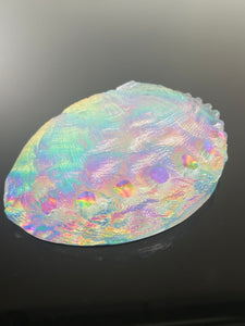 Cosmic Abalone “Large with stand”