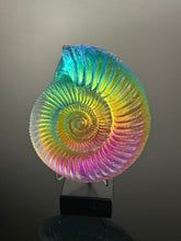Rainbow Ammonite lg