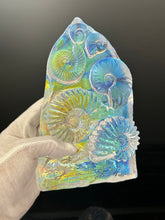 Chromatic Ammonites Sculpture