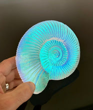 Aural Ammonite