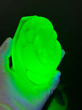 Green Glow Snake “NEW”