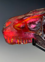 T-Rex Fossil “Lava”