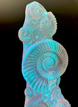 Aural Ammonite Sculpture