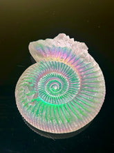 Crystalized Aural Ammonite