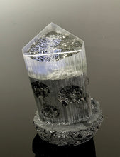 “Genetic Crystal”