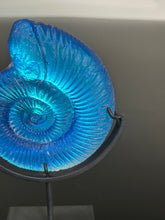 Aqua Aural Ammonite
