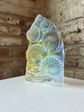 Chromatic Ammonites Sculpture