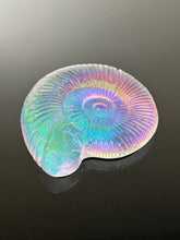 Chromatic Ammonite