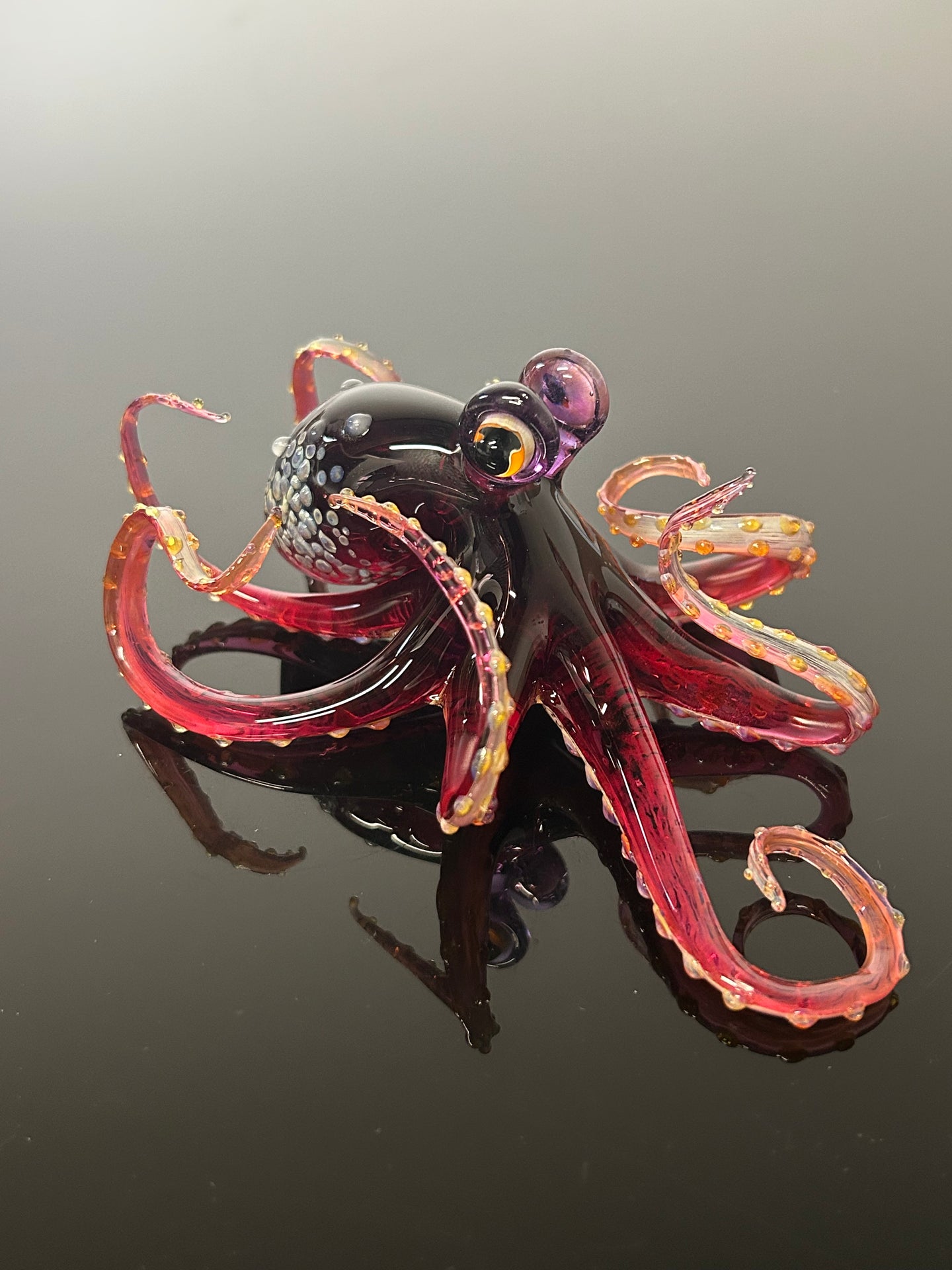 Merlot Octopus