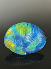 Cosmic Abalone “sale”